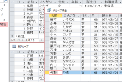 access 複数レコードに張り付け方法