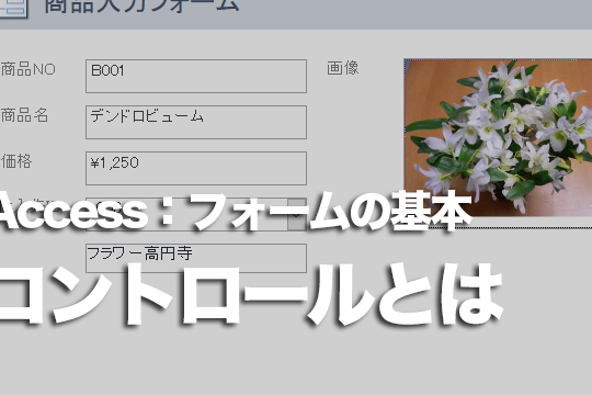 Accessのフォームのコントロールとは