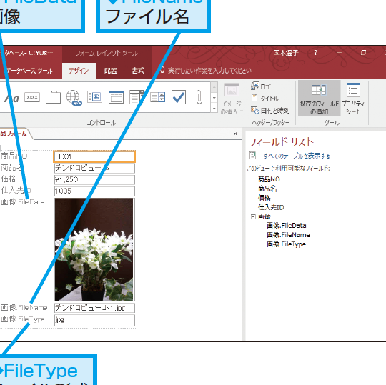 Accessのフォームの添付ファイル型のフィールドで表示されるFileData、FileName、FileTypeとは